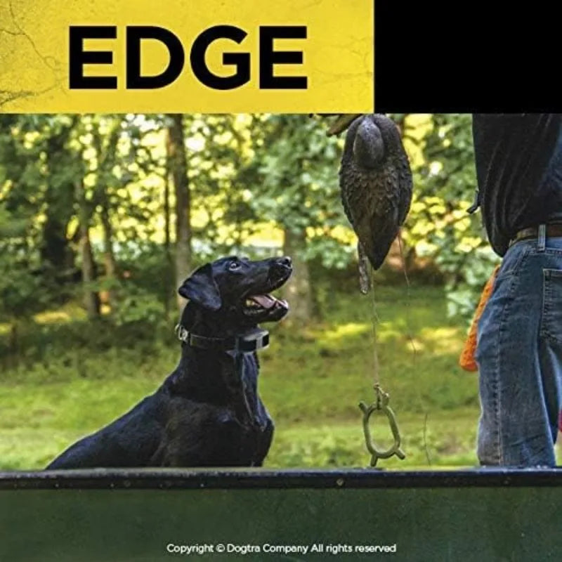 Edge Long Range High-Output 1-Mile Waterproof 4-Dog Expandable E-Collar with LED Receiver