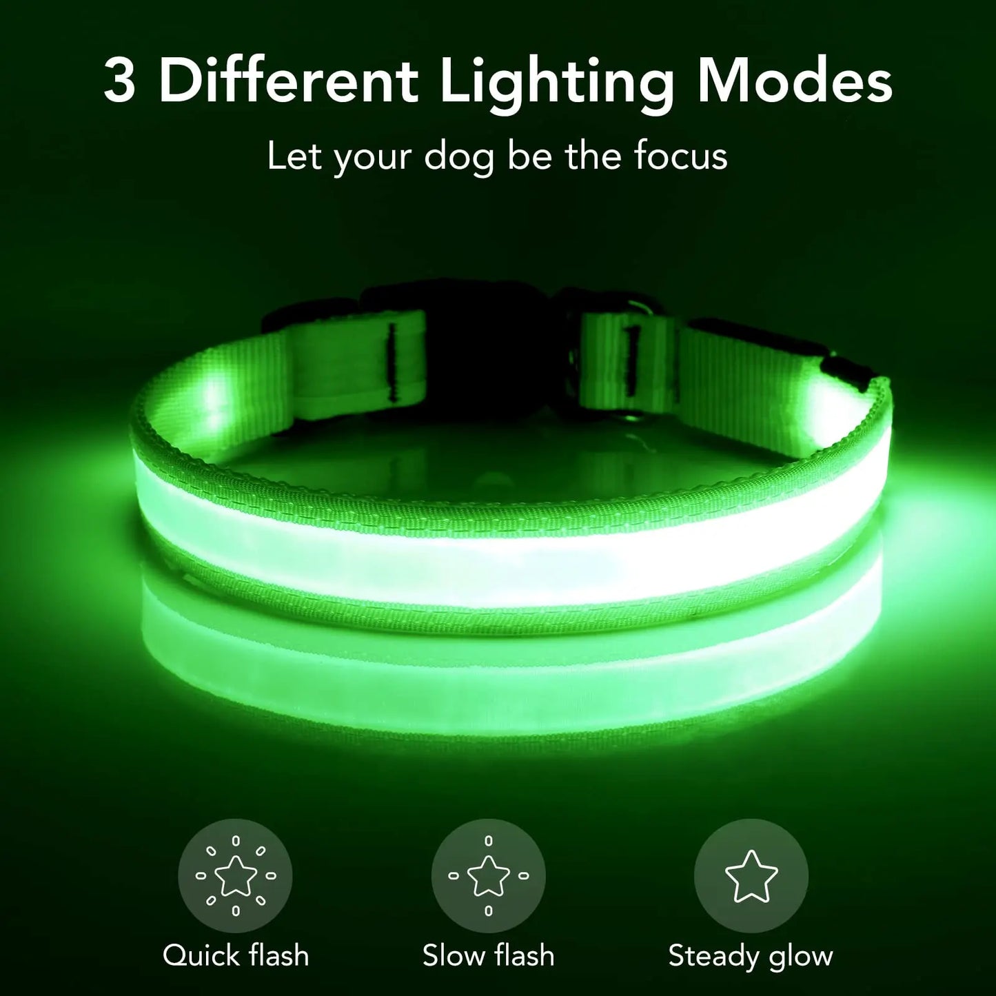 Vizpet LED Dog Collar Adjustable USB Rechargeable Safety Light