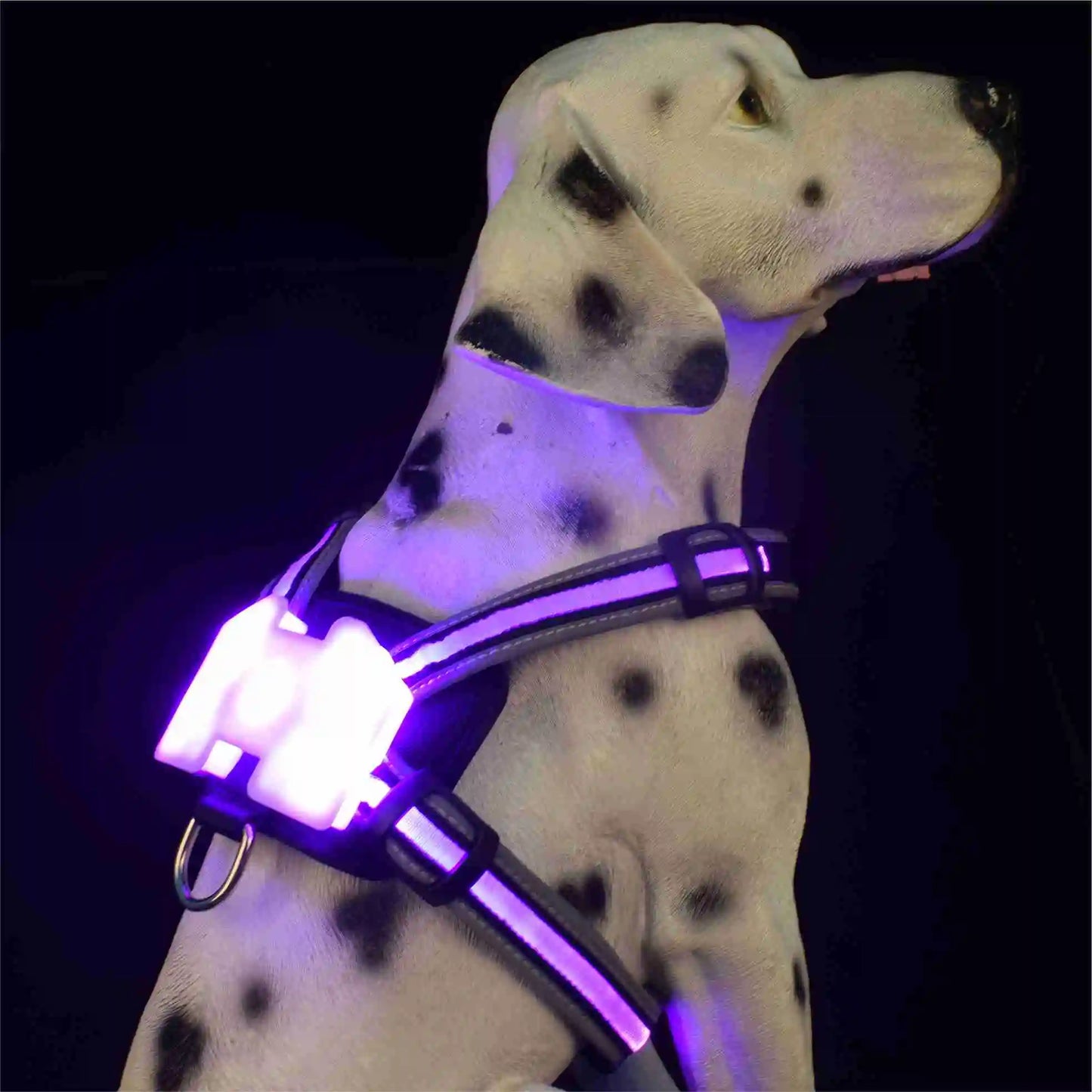 Waterproof LED Dog Harness for Dogs with Reflective Safety