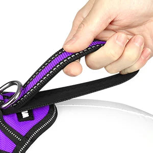 Pet Harness Collar and Leash Set All-in-one Reflective Dog Harness