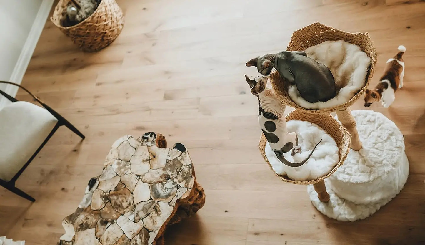 Real Branch Luxury Cat Condo Wood Cat Scratching Tree Design