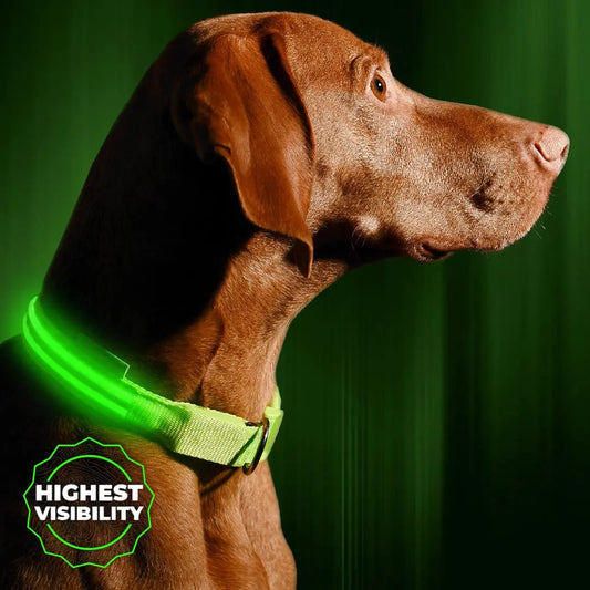 Vizpet LED Dog Collar Adjustable USB Rechargeable Safety Light