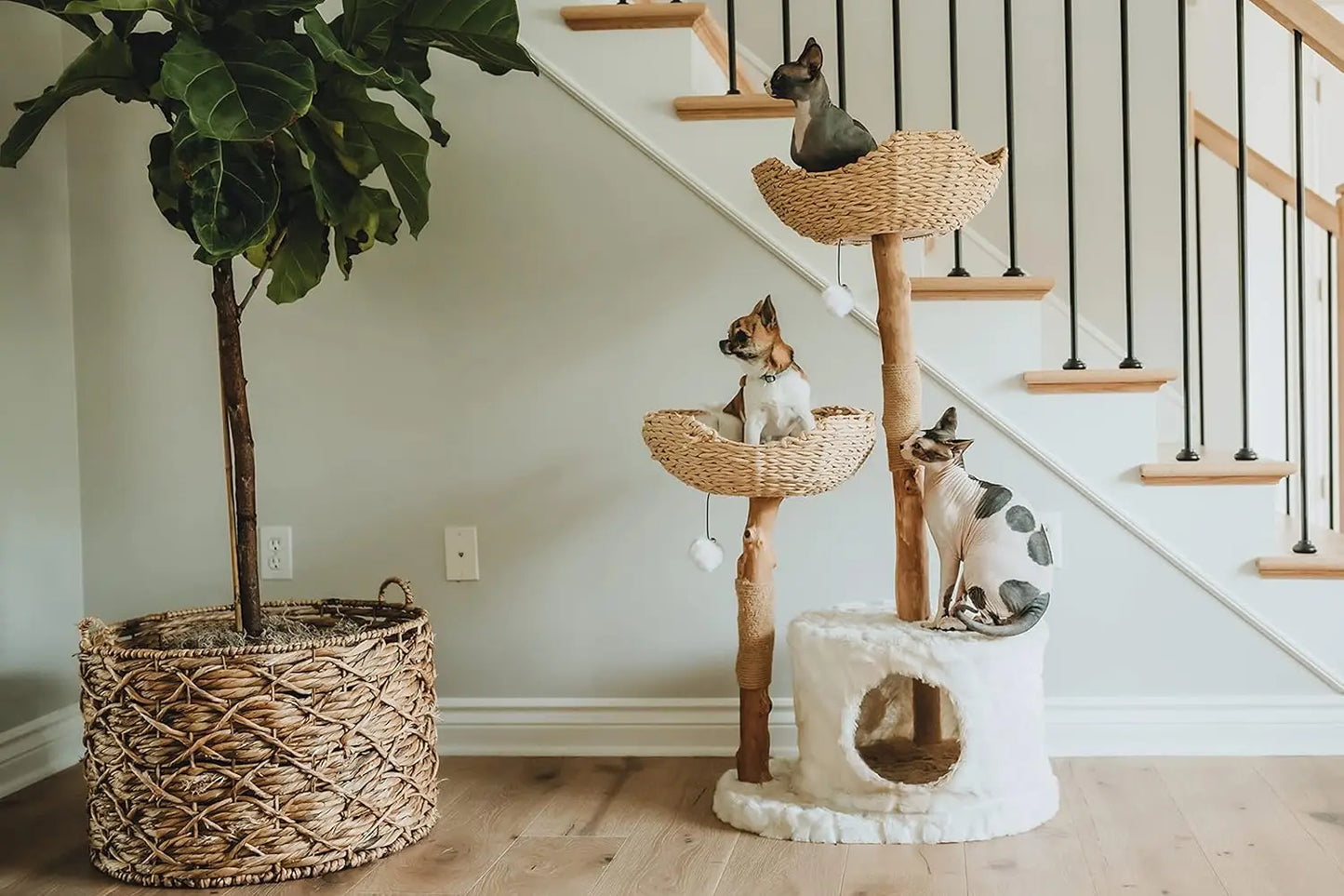 Real Branch Luxury Cat Condo Wood Cat Scratching Tree Design