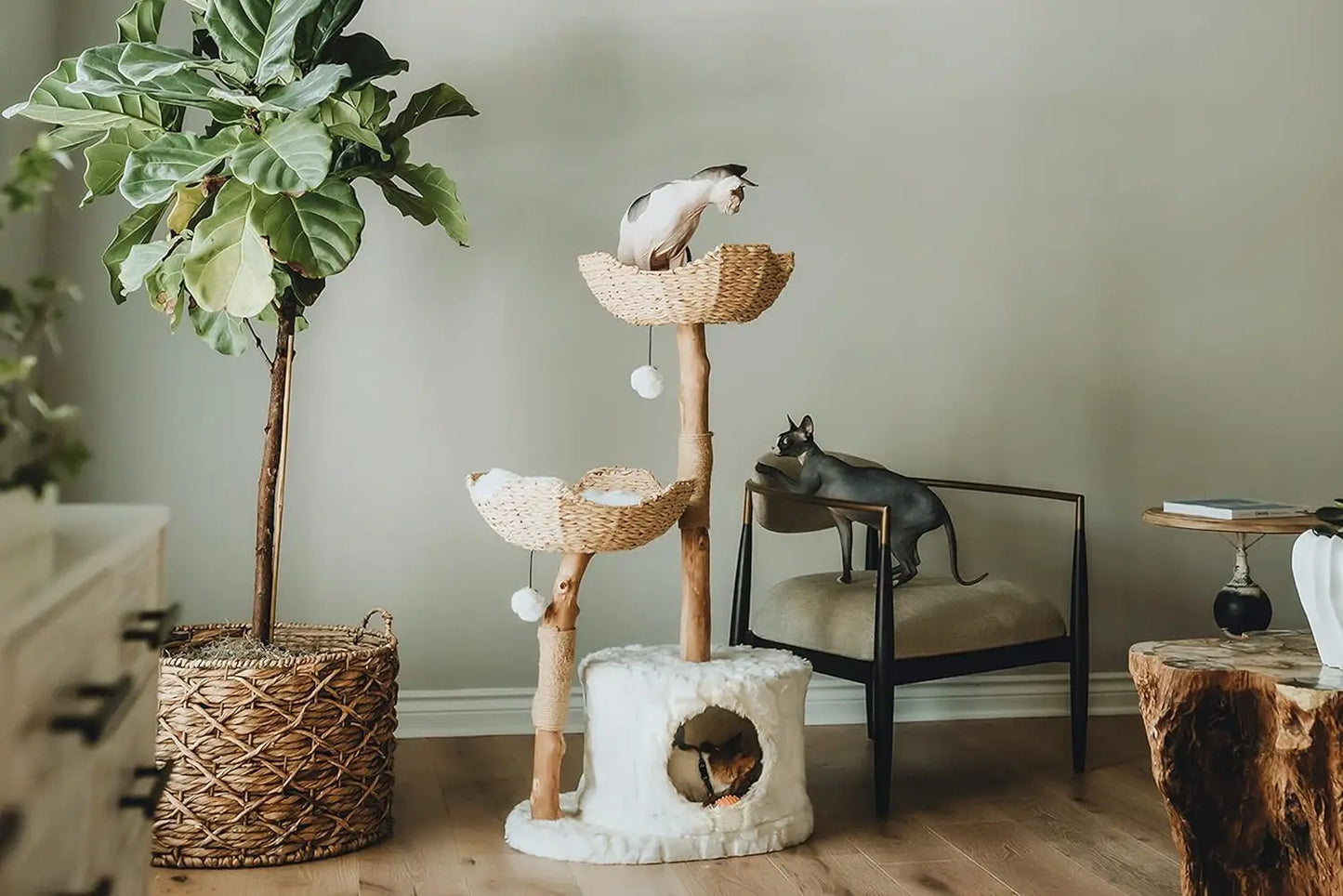 Real Branch Luxury Cat Condo Wood Cat Scratching Tree Design