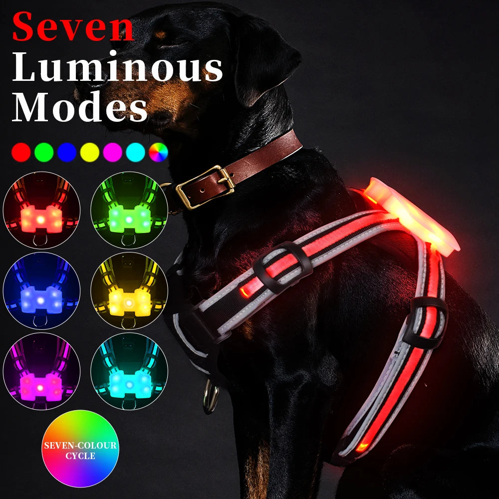 Waterproof LED Dog Harness for Dogs with Reflective Safety