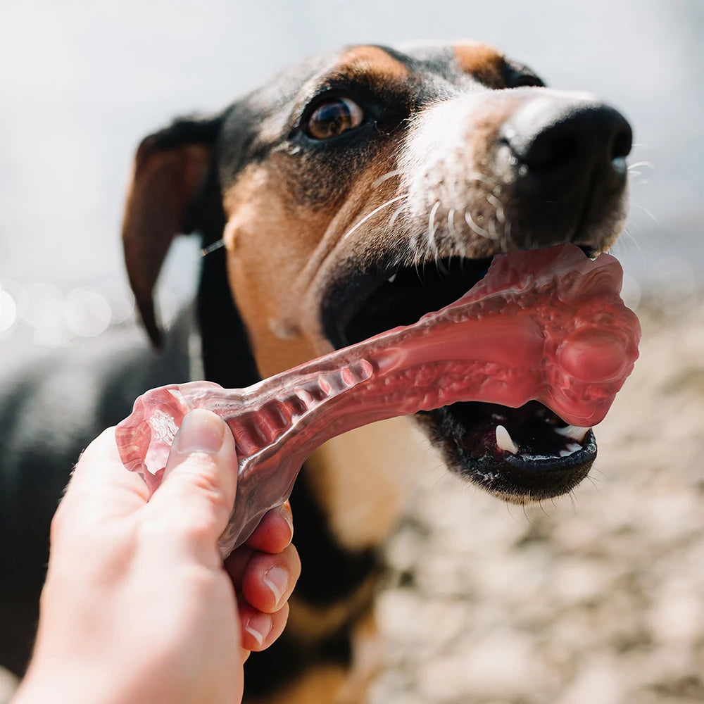 MASBRILL Dog Toys Aggressive Chewers Large Dogs Bone-Shaped Indestructible Nylon Toys