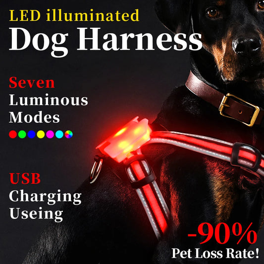 Waterproof LED Dog Harness for Dogs with Reflective Safety