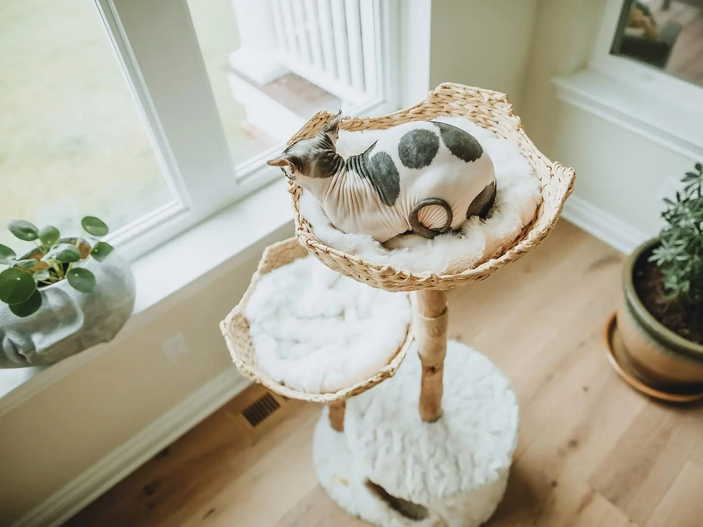 Real Branch Luxury Cat Condo Wood Cat Scratching Tree Design