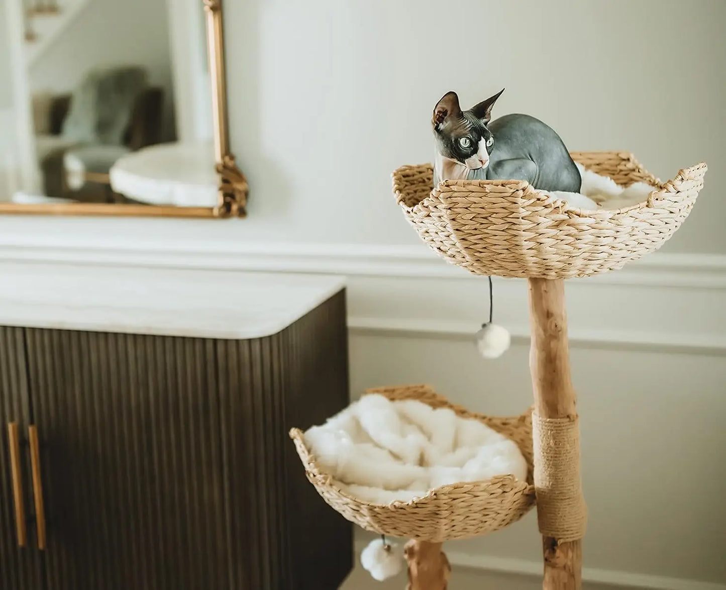 Real Branch Luxury Cat Condo Wood Cat Scratching Tree Design